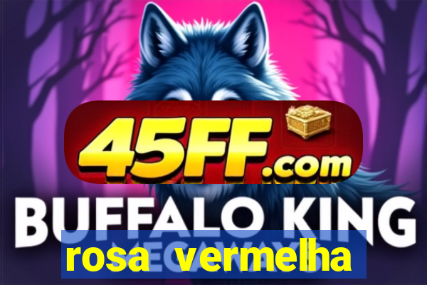 rosa vermelha (letra e cifra)